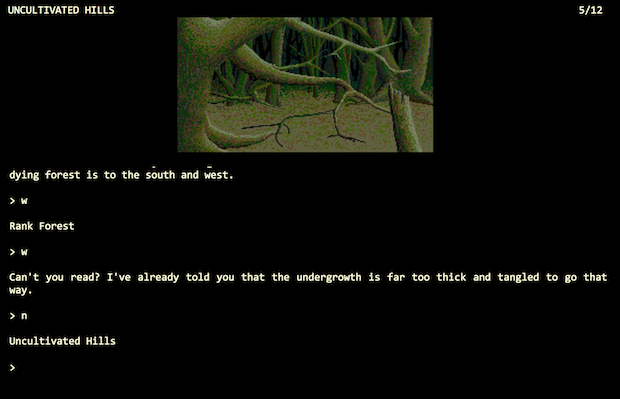 screenshot of the Forest in the Pawn