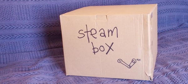 Steam Box ?